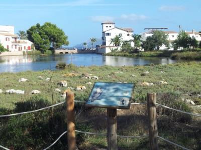 La Gola House Διαμέρισμα Port de Pollenca Εξωτερικό φωτογραφία